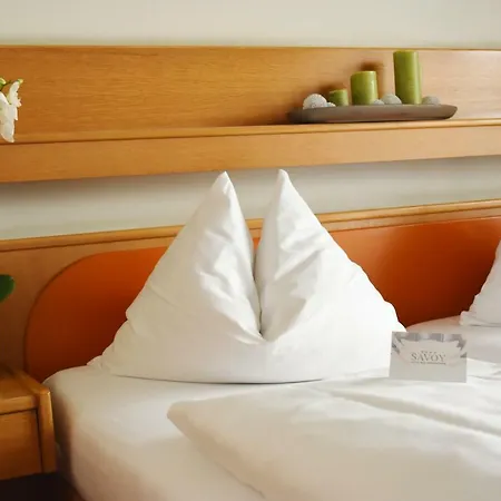 Savoy 3* باد ميرغنثيم